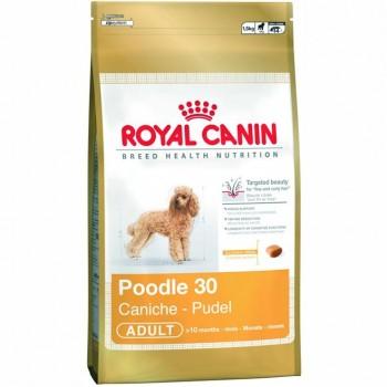 royal canin BREED HEALTH NUTRITION Poodle 30
