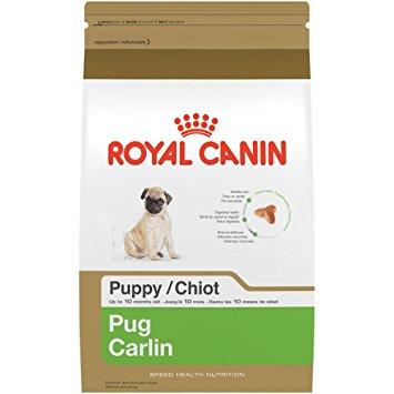 royal canin BREED HEALTH NUTRITION Pug Puppy