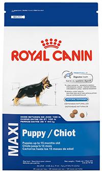 royal canin Maxi Puppy