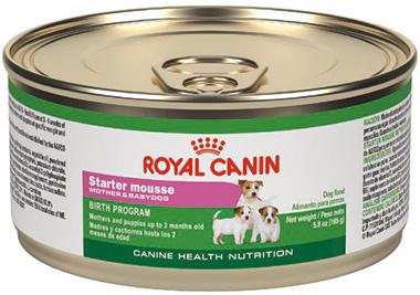 royal canin SHN wet Starter Mousse lata